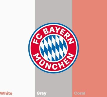 FC Bayern Auswärtstrikot 2025/26