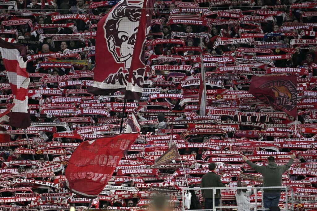 Bayer-Fans