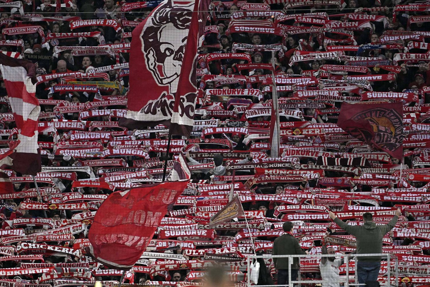 Bayer-Fans