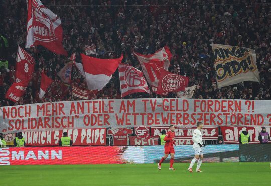 Banner Hoffenheim