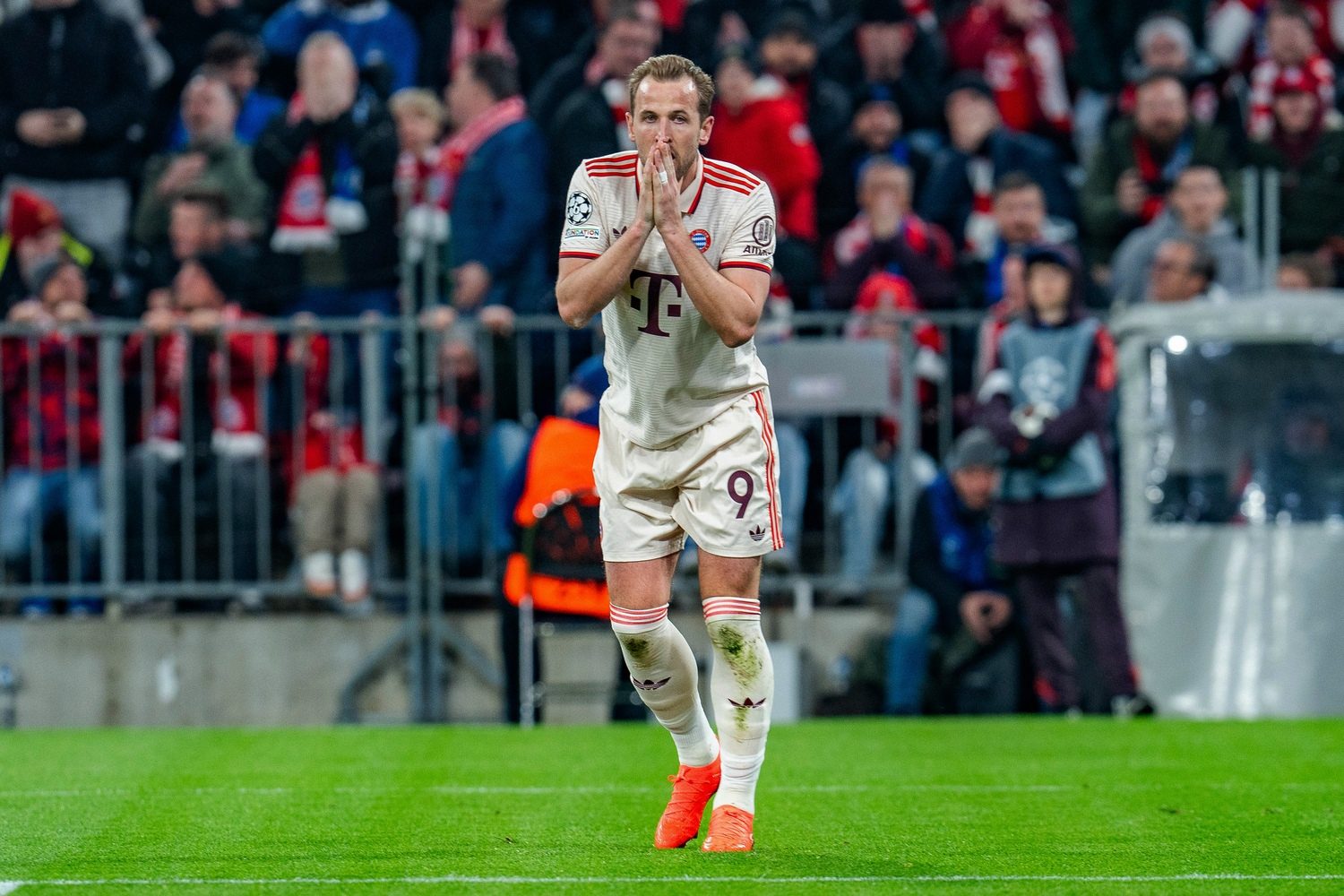Harry Kane