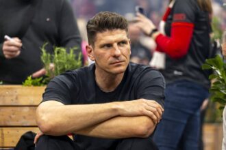 Mario Gomez