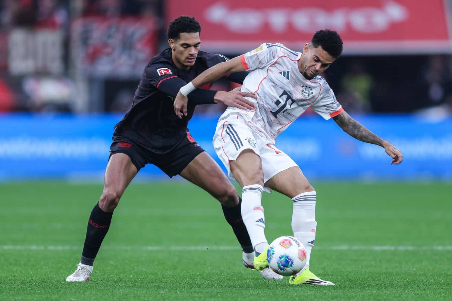 Bayer Leverkusen vs. FC Bayern