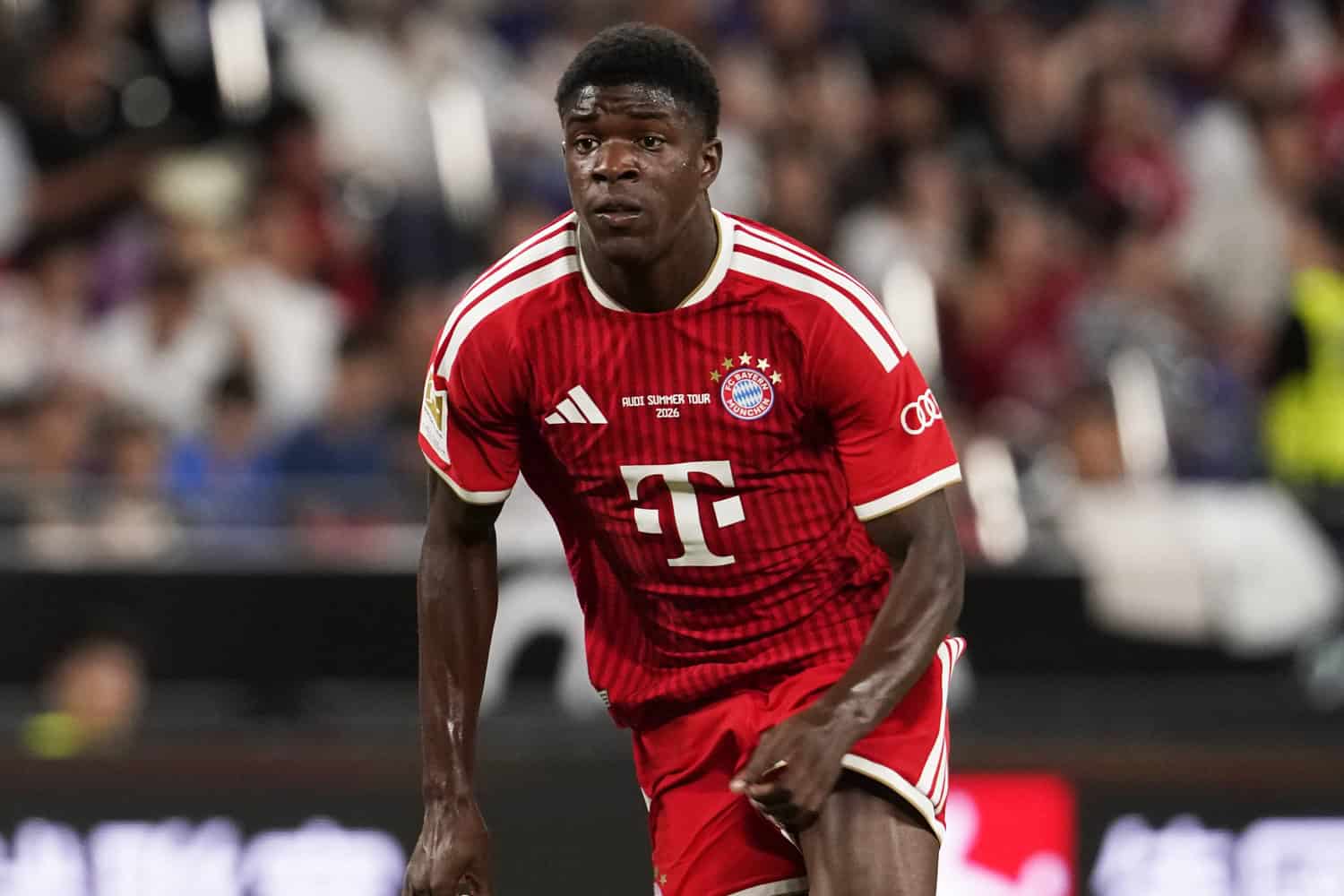 Bastian Assomo