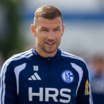 Edin Dzeko