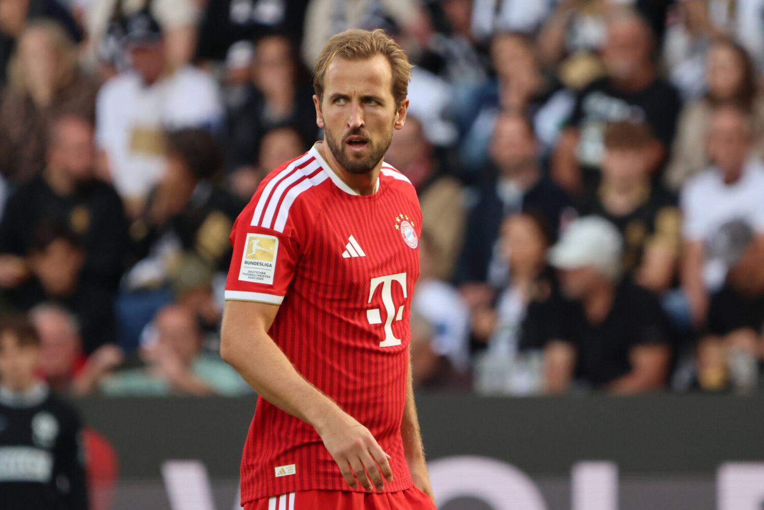 Harry Kane