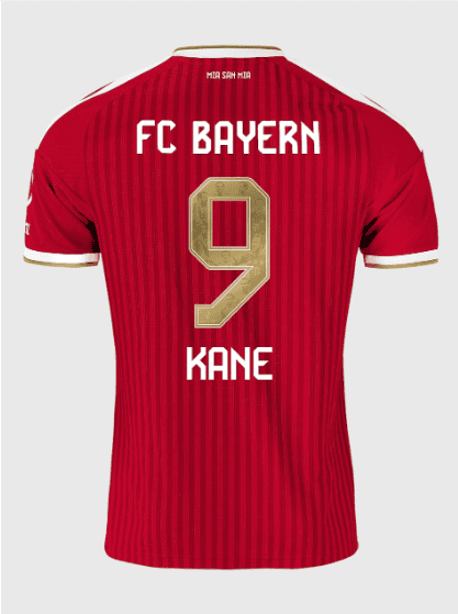 Kane Trikot gold
