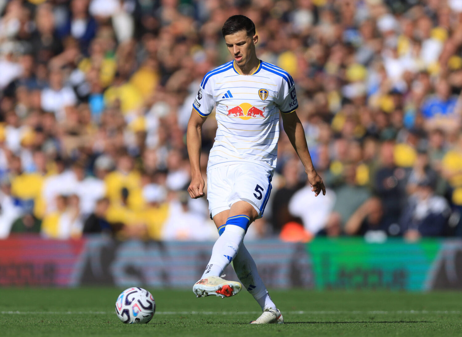Tarek Muharemovic